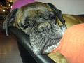 Kerst 2005 (8)